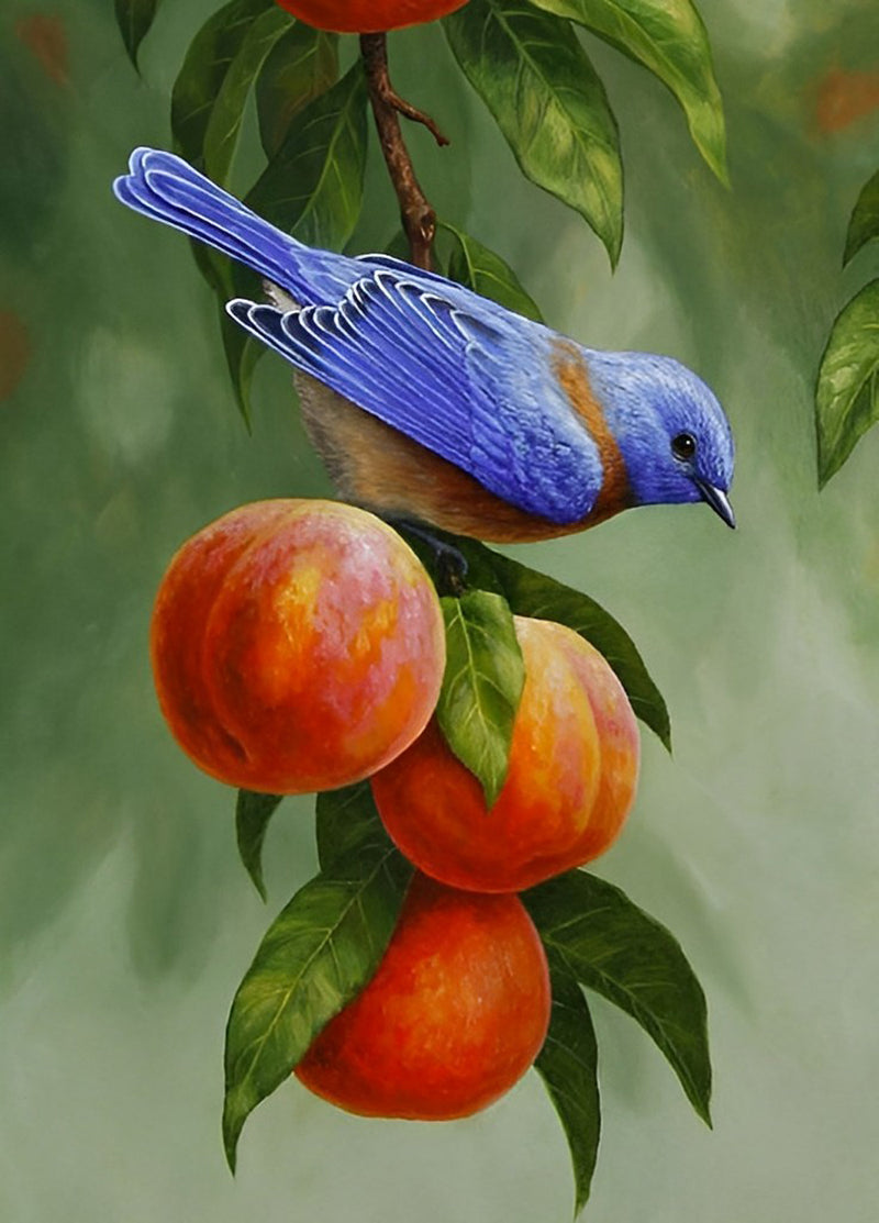 Blue Bird and Three Peaches 5D DIY Diamond Painting Kits