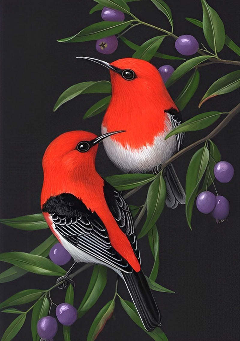 Birds and Olives 5D DIY Diamond Painting Kits