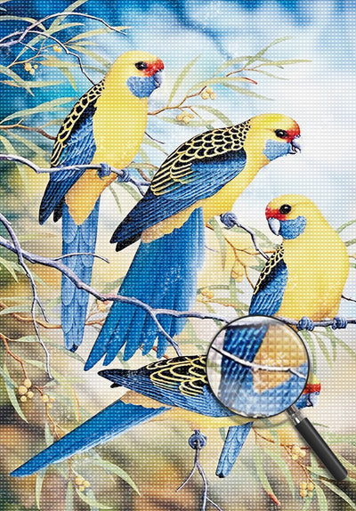 Yellow and Blue Budgerigars 5D DIY Diamond Painting Kits