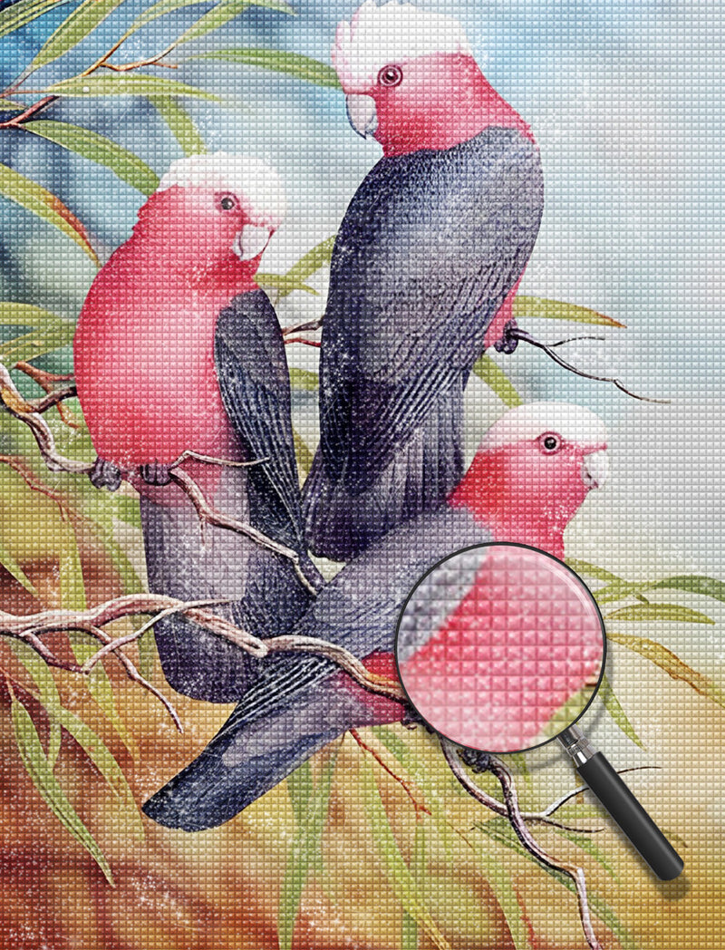 Parrots with White Heads 5D DIY Diamond Painting Kits