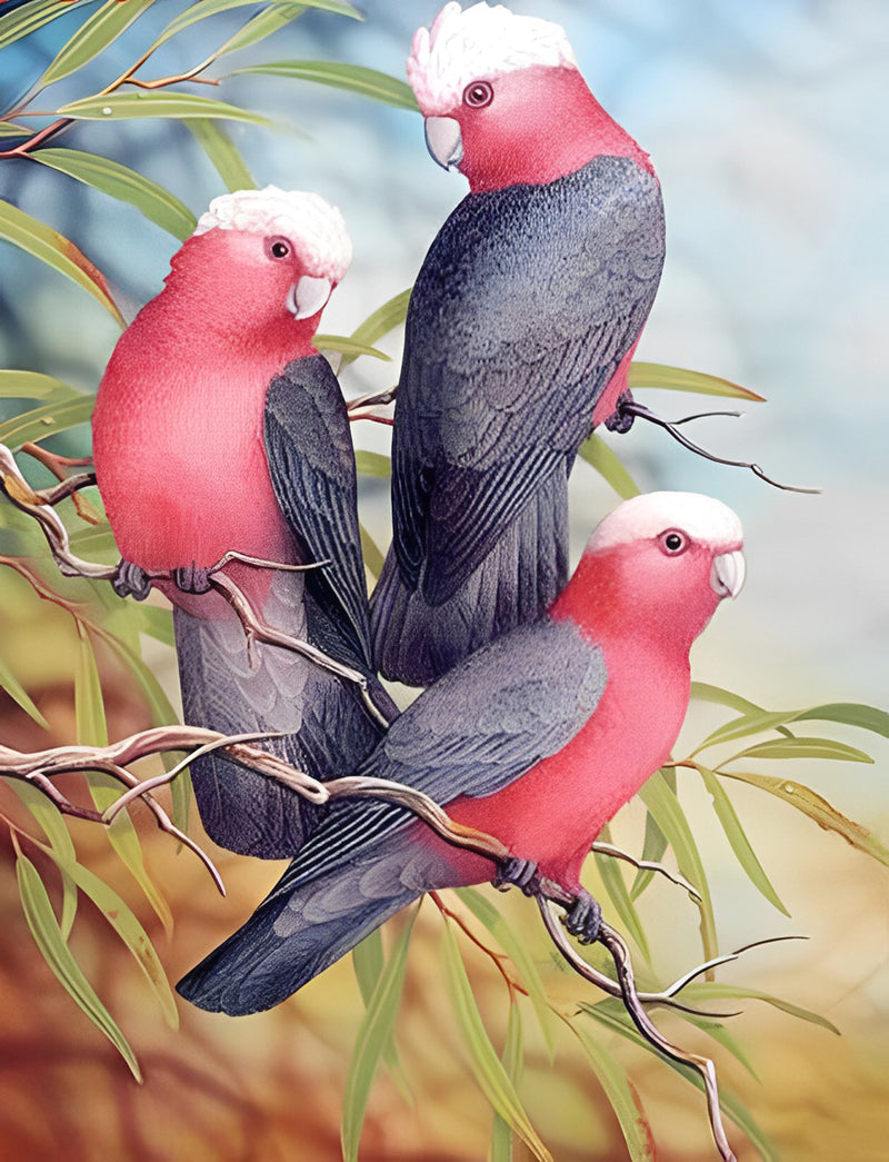 Parrots with White Heads 5D DIY Diamond Painting Kits