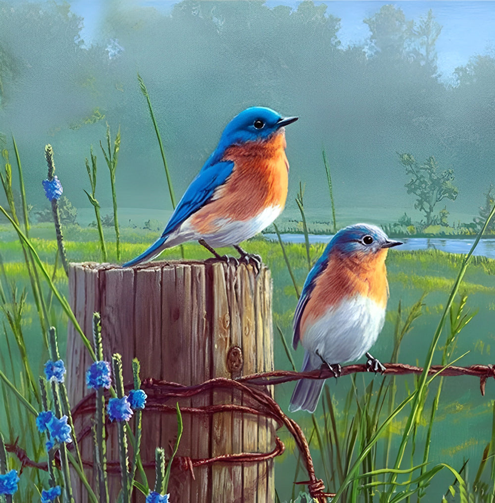 Two Cute Blue and Red Birds Diamond Painting