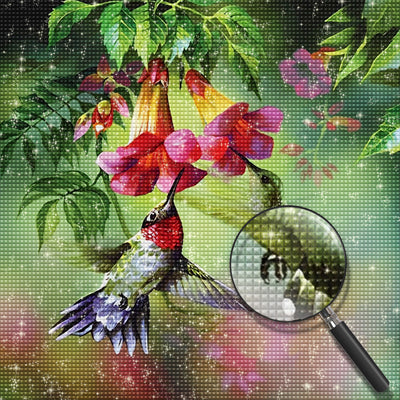 Two Hummingbirds Absorbing Nectar Diamond Painting