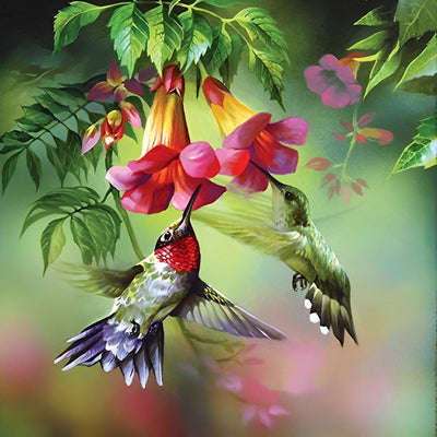 Two Hummingbirds Absorbing Nectar Diamond Painting