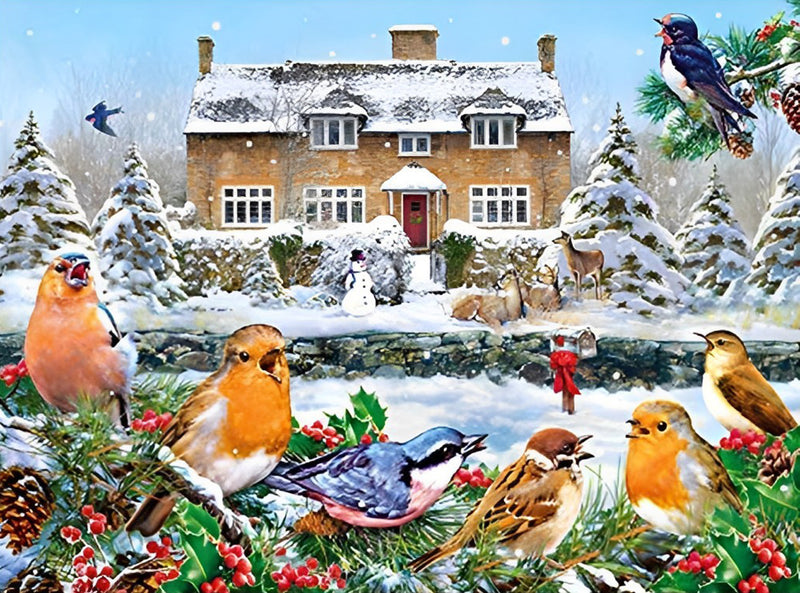 Birds and the House in the Snow 5D DIY Diamond Painting Kits