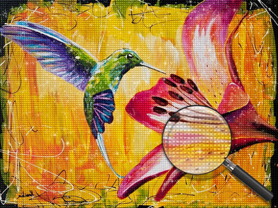 Hummingbird Drawn 5D DIY Diamond Painting Kits