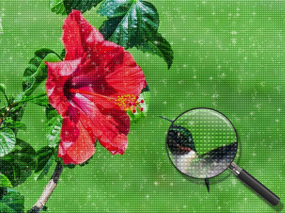 Hummingbird and Ipomea Red 5D DIY Diamond Painting Kits