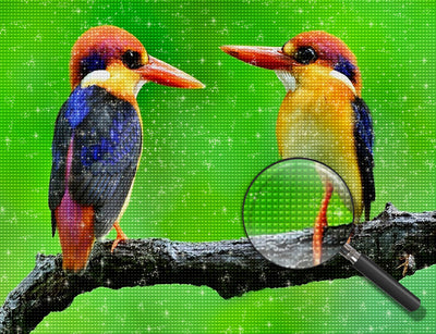Two Kingfishers 5D DIY Diamond Painting Kits