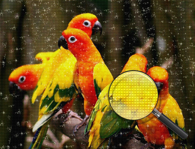 Five Parrots in Red, Yellow and Green Colors Diamond Painting