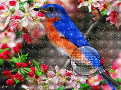 Blue and Orange Bird with Pink and Red Flowers 5D DIY Diamond Painting Kits