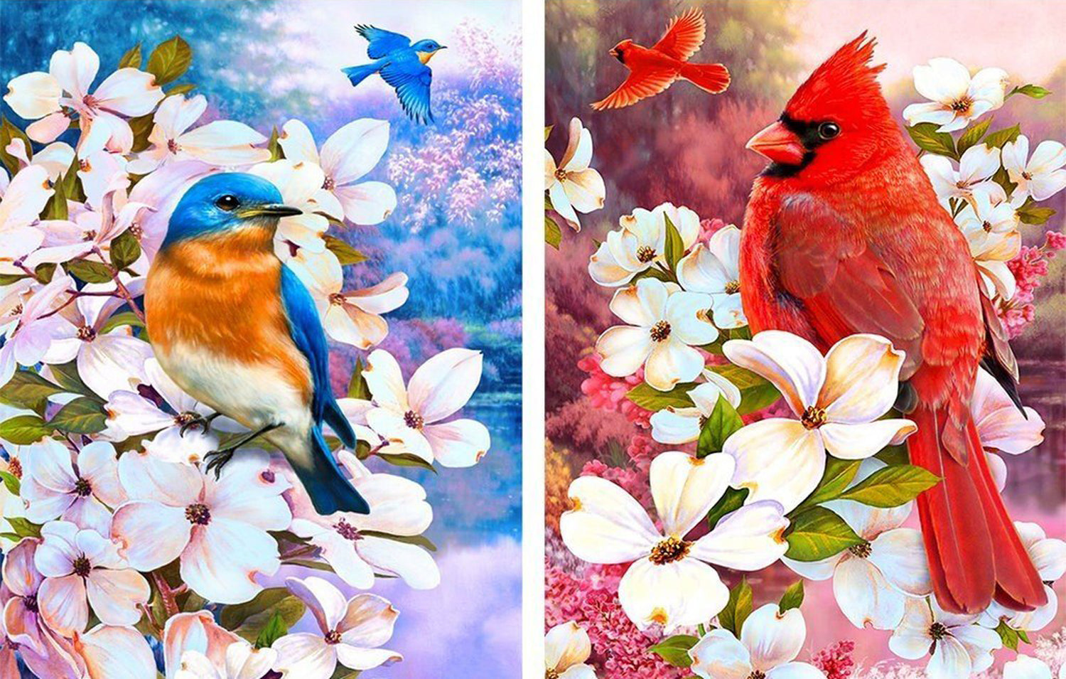 Blue Bird and Red Bird Diamond Painting