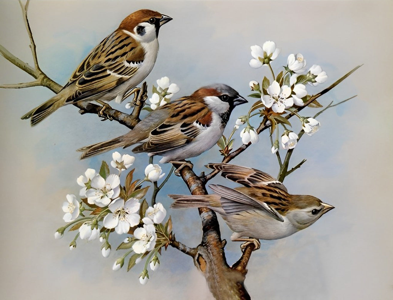 Three Sparrows on a Branch Diamond Painting