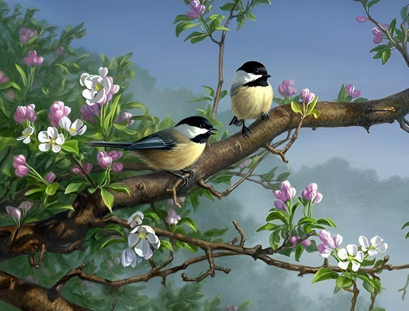 Birds and White and Pink Flowers Diamond Painting