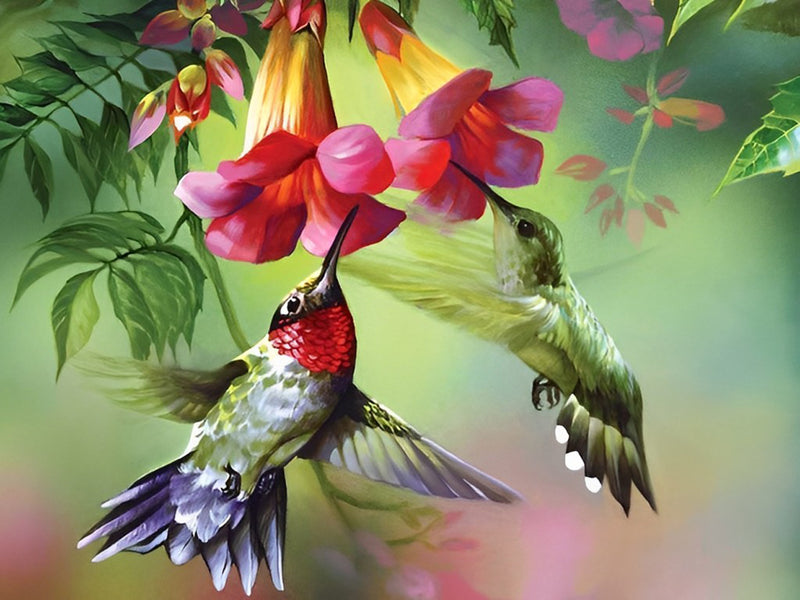 Two Flying Hummingbirds and Pink Nile Poppyseed 5D DIY Diamond Painting Kits