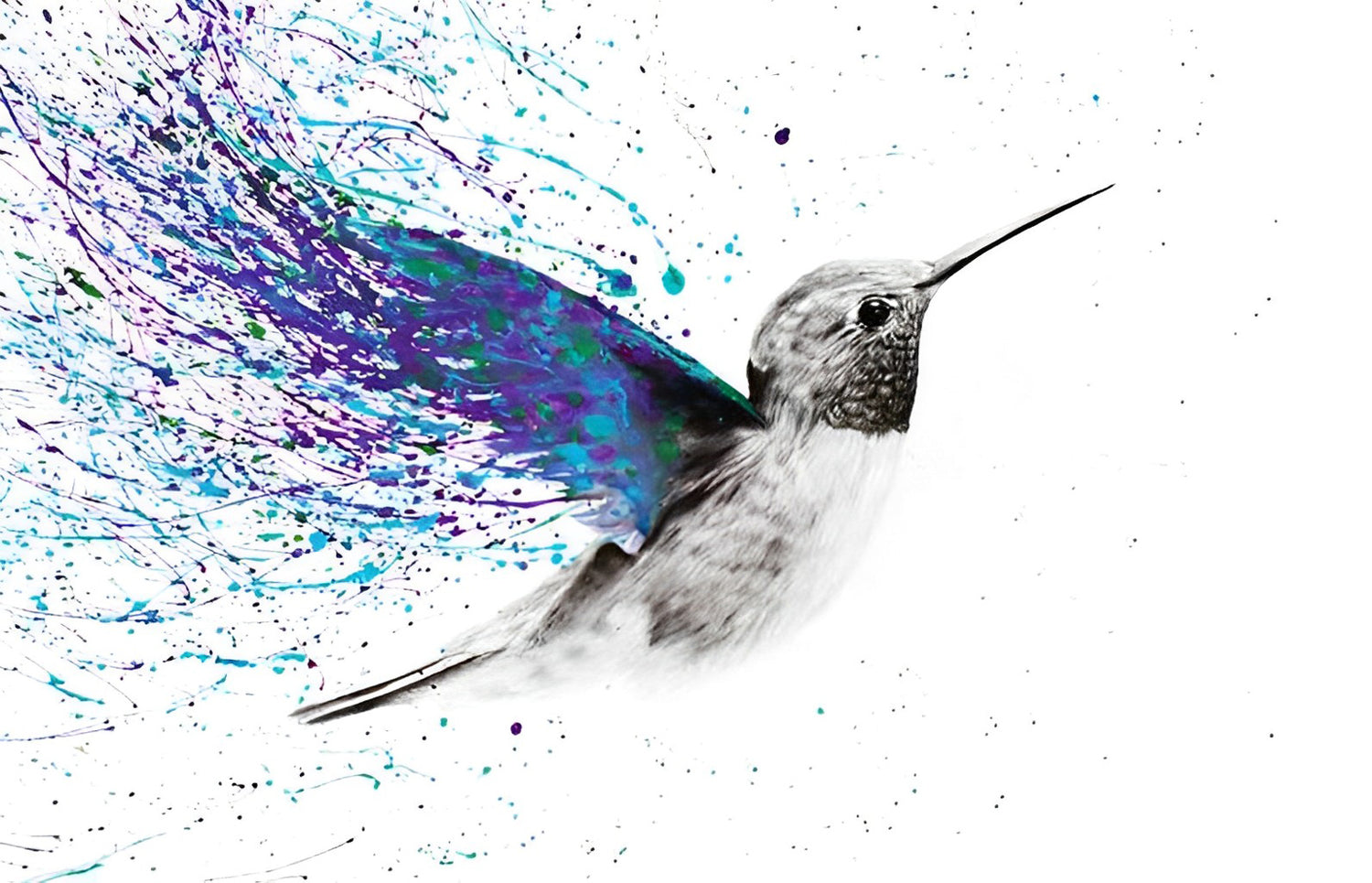 Hummingbirds with Purple and Blue Feathers Diamond Painting