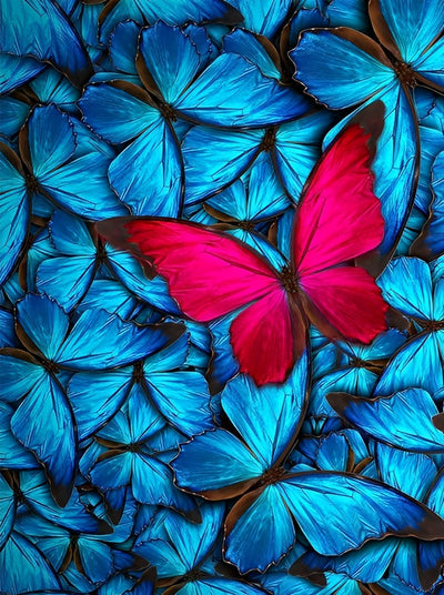Dark Pink Butterfly and Blue Butterflies 5D DIY Diamond Painting Kits
