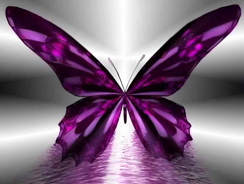 Purple and Black Butterfly 5D DIY Diamond Painting Kits