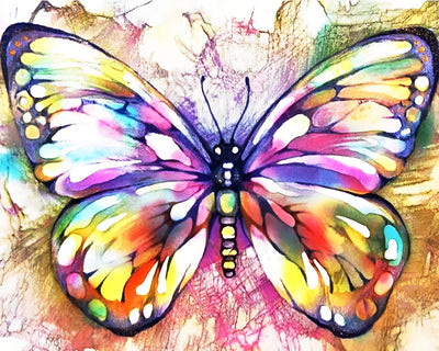 Butterfly in Various Colors 5D DIY Diamond Painting Kits