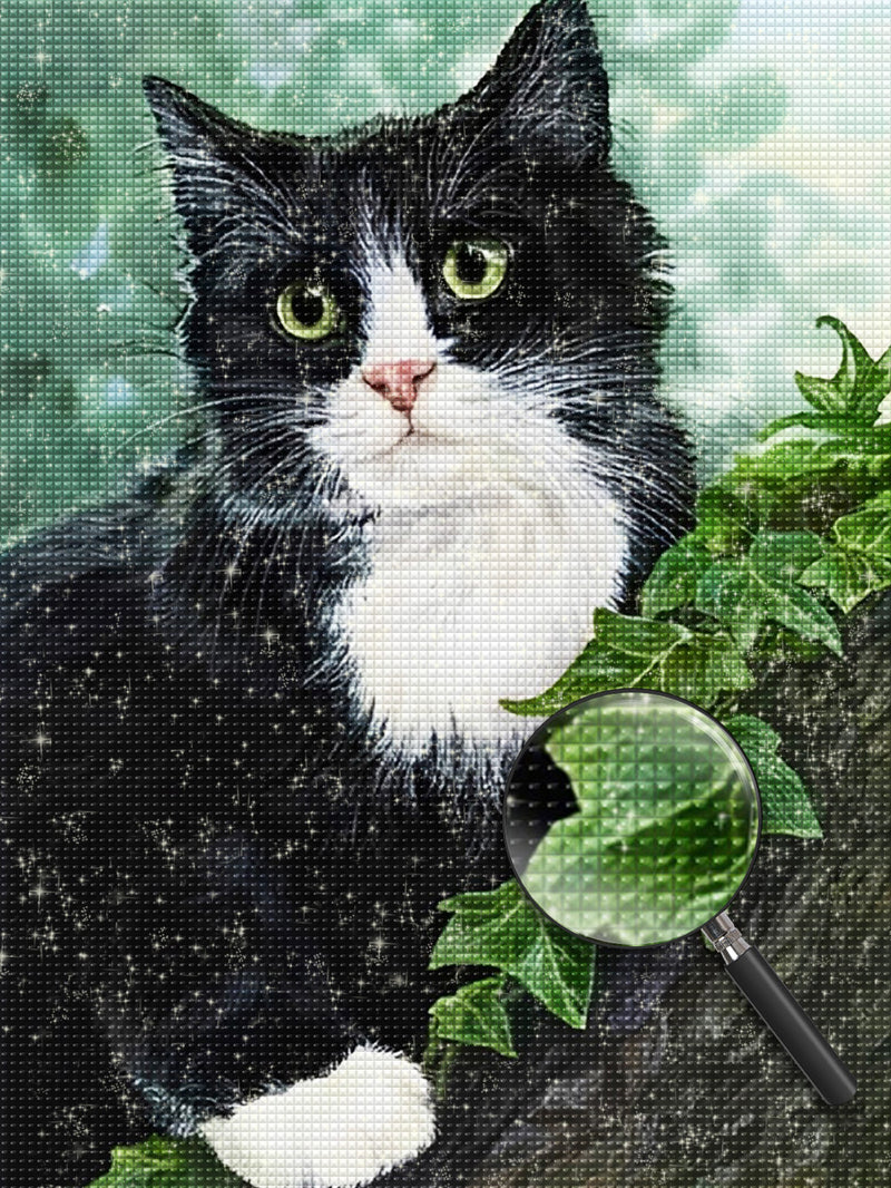 Black and White Cat 5D DIY Diamond Painting Kits