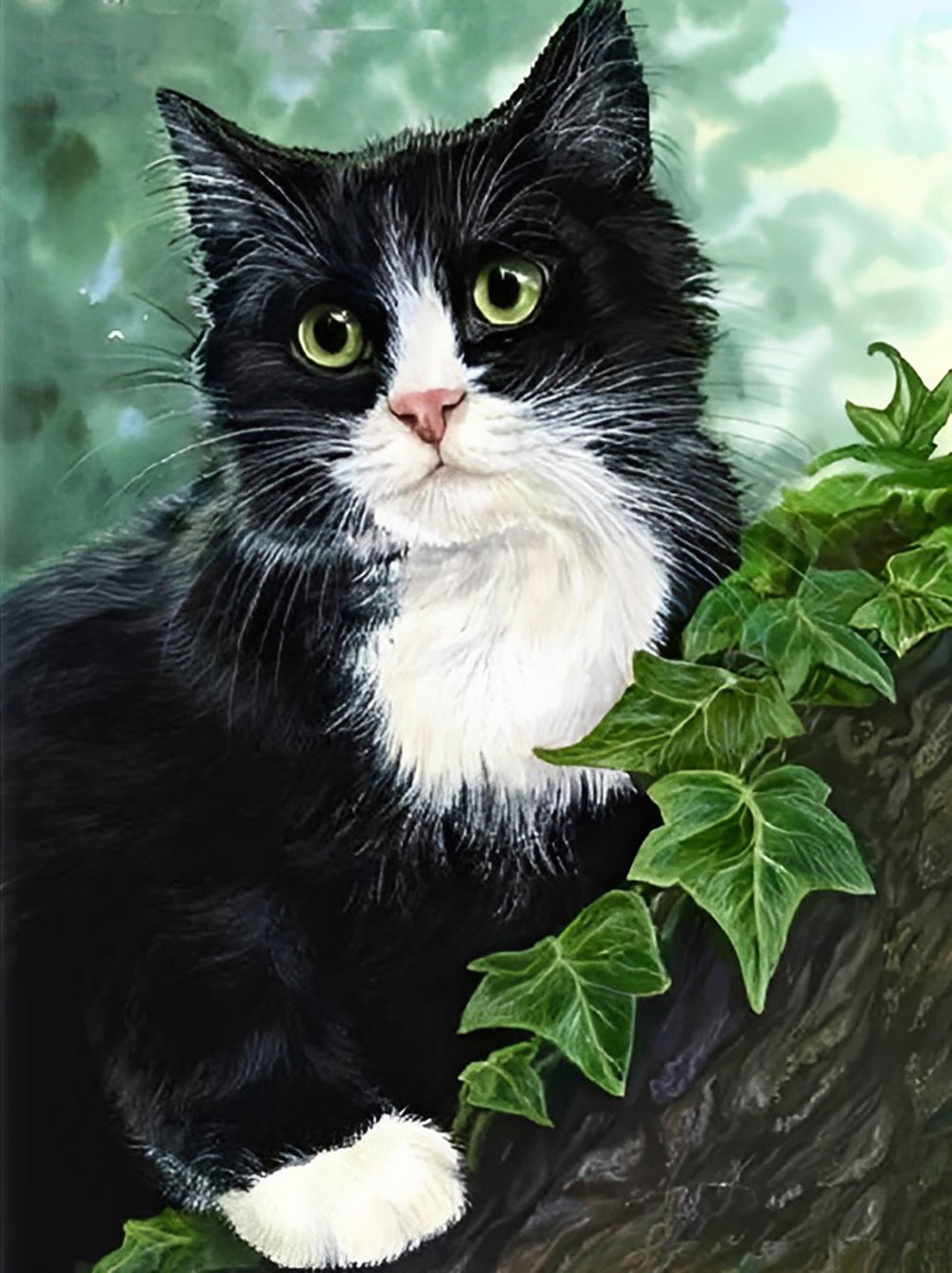 Black and White Cat Diamond Painting
