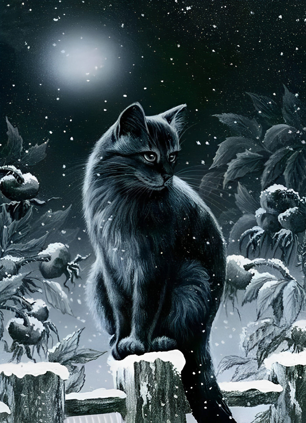 Black Cat in the Snow Diamond Painting