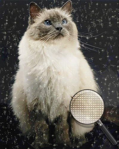 Birman Cat Diamond Painting