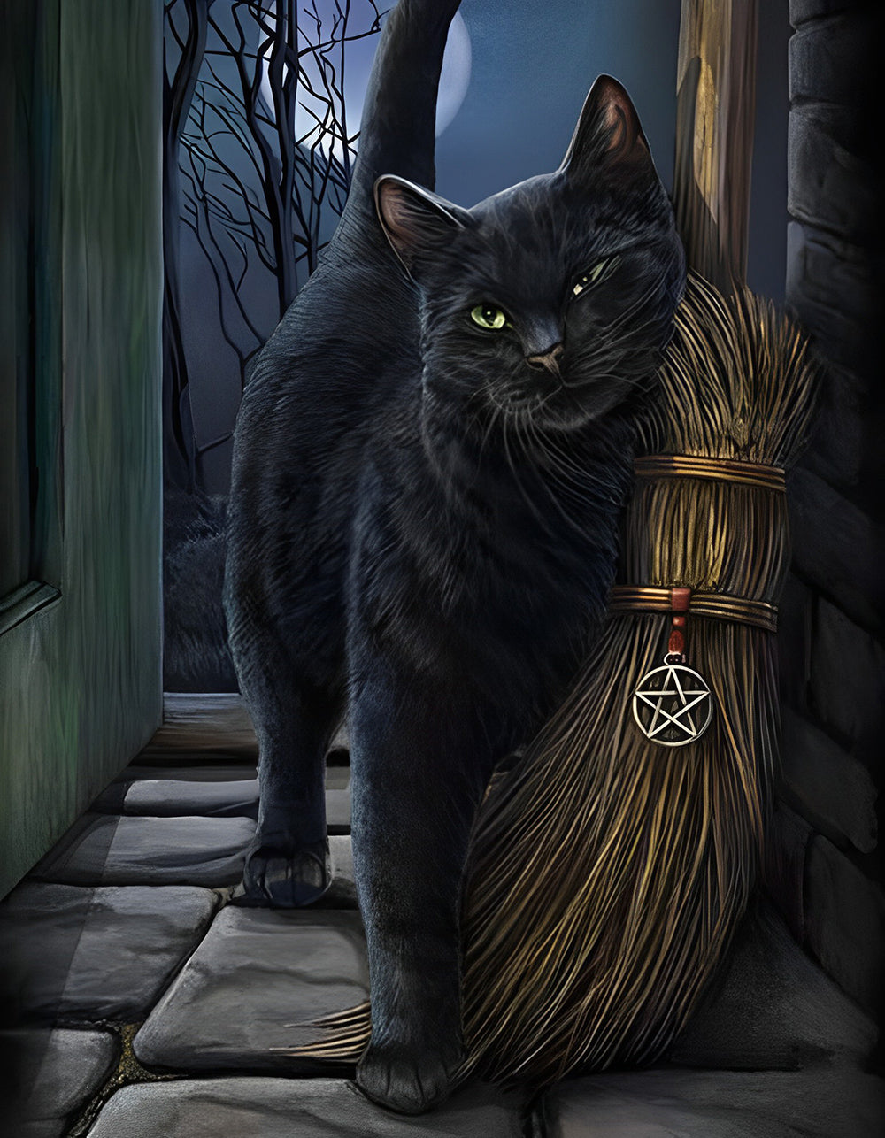 Black Cat and Magic Broom Diamond Painting