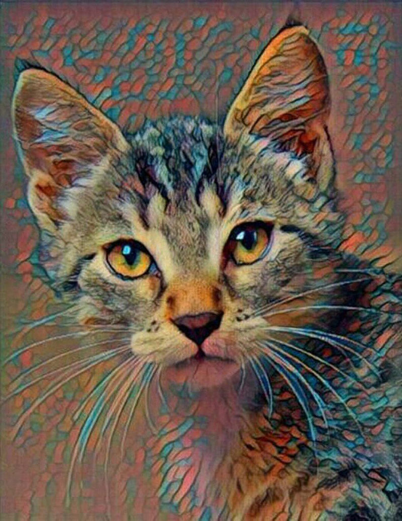 Long Whisker Cat Diamond Painting