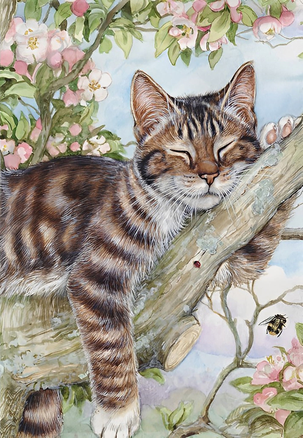 Cat Sleeping on a Tree Branch Diamond Painting