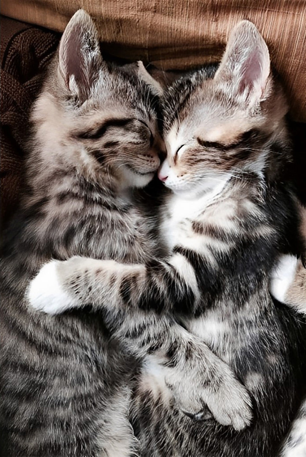 Kittens sleeping together Diamond Painting