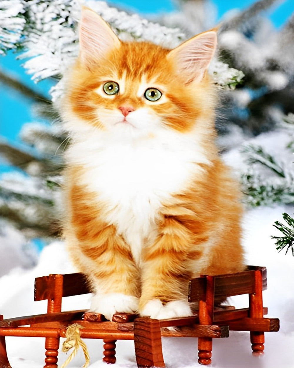 Lovely Cat Diamond Painting