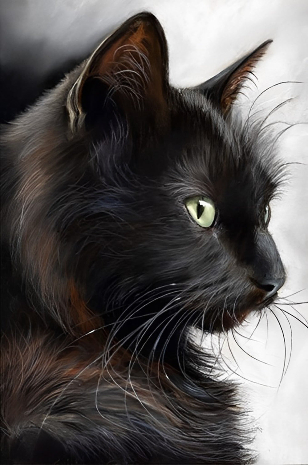Black Cat Diamond Painting