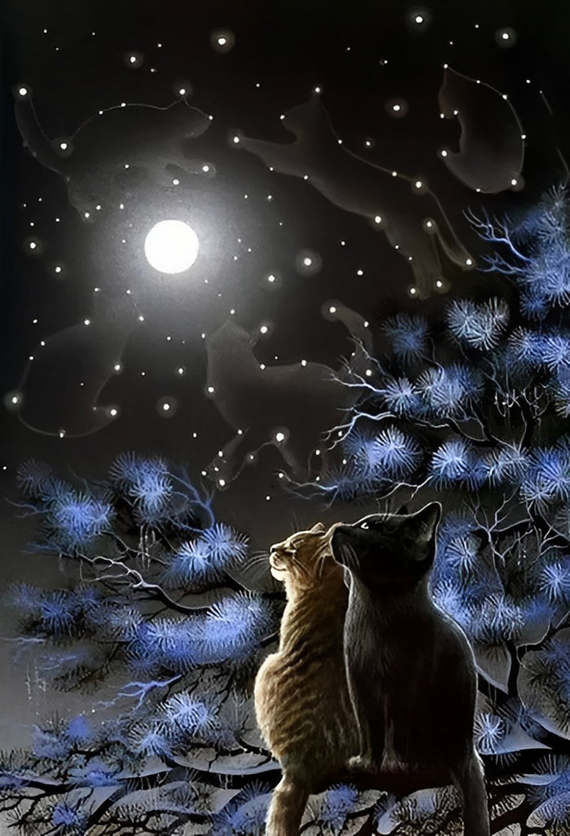 Two Kittens Looking at the Moon Diamond Painting