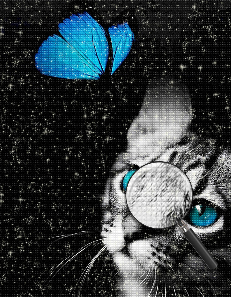 Gray Cat and Blue Butterfly Diamond Painting