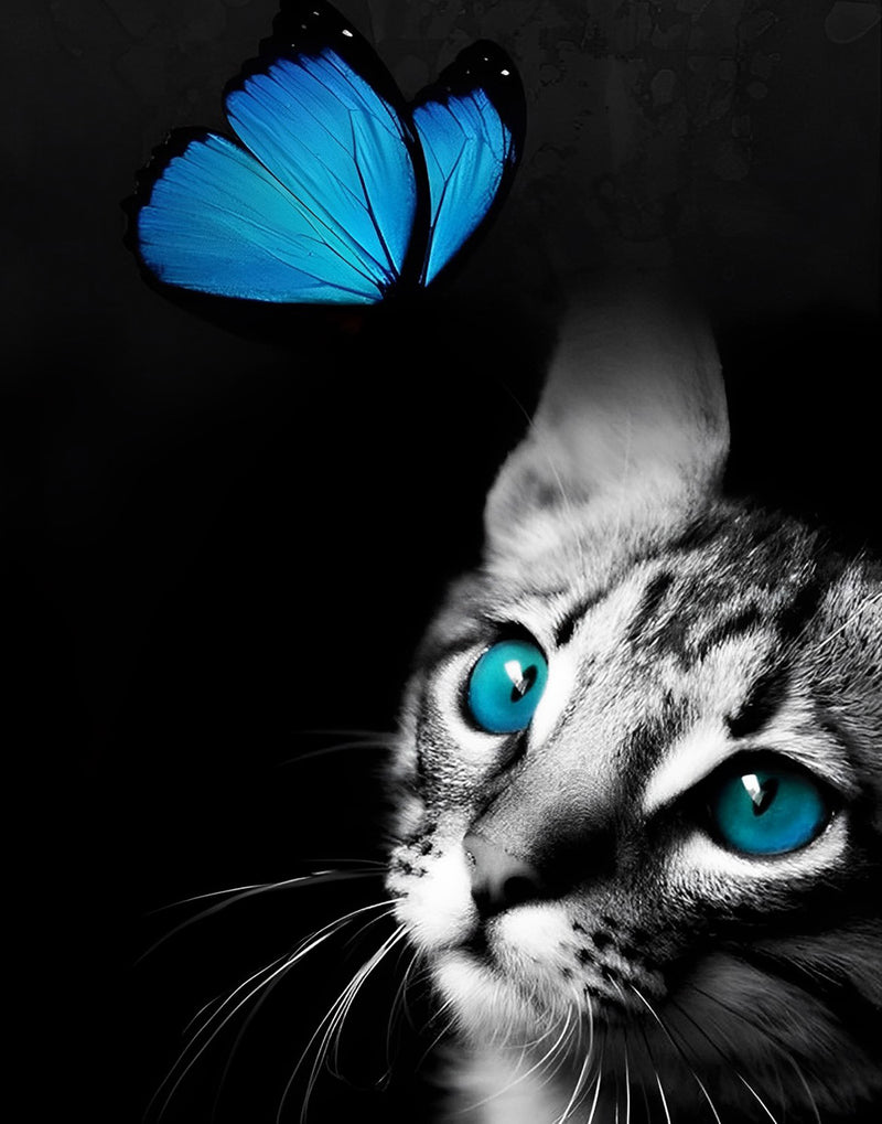 Gray Cat and Blue Butterfly Diamond Painting