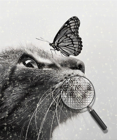 Cat Looking at Butterfly Diamond Painting