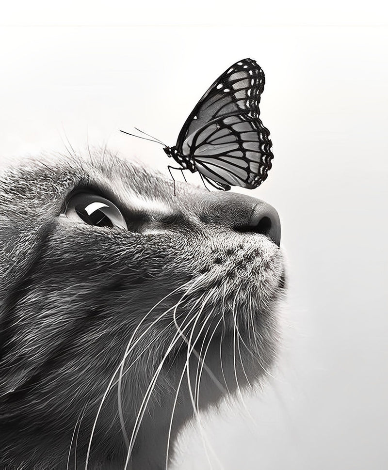 Cat Looking at Butterfly Diamond Painting