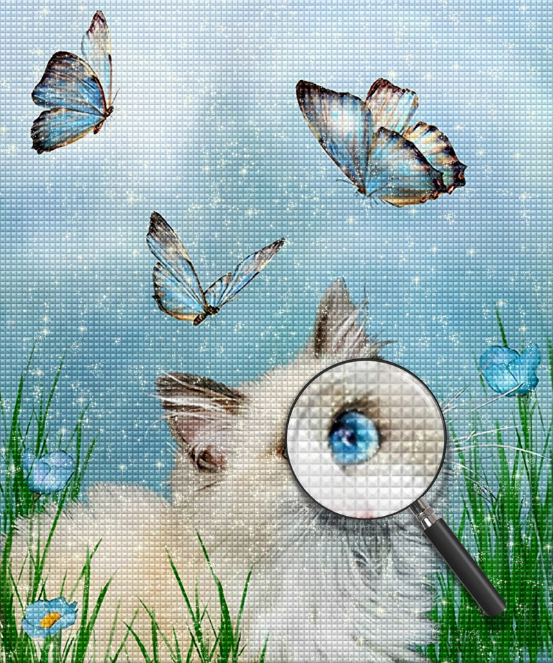 Ragdoll Kitty and Butterflies Diamond Painting