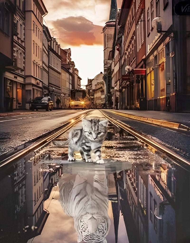 A Reflection Cat in Puddle 5D DIY Diamond Painting Kits