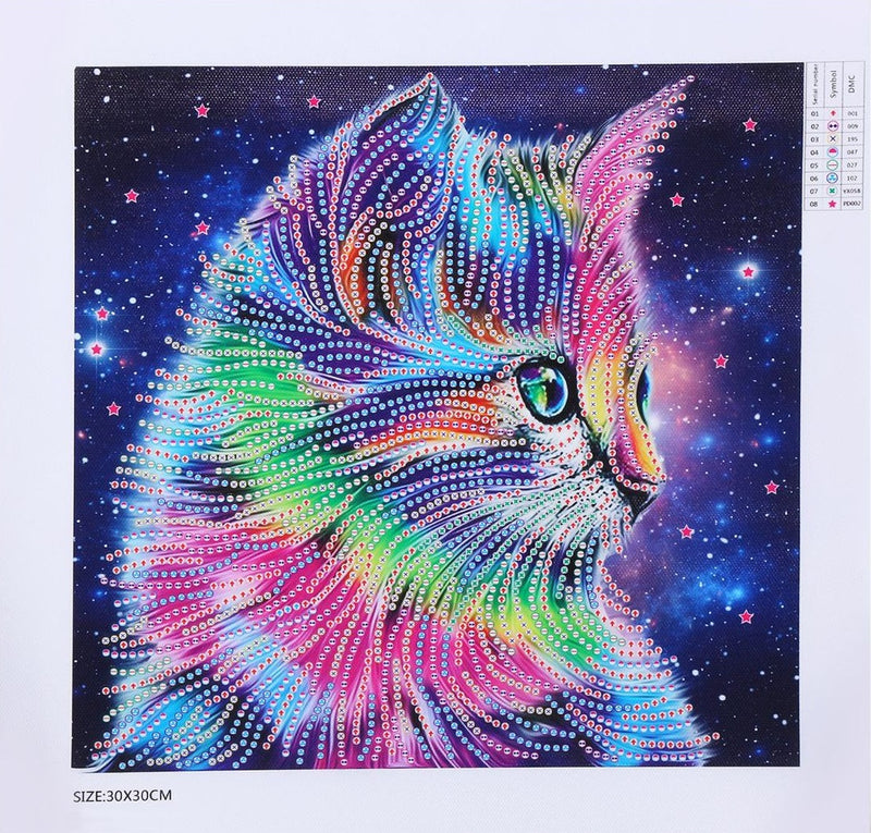 Special Shaped Drills Colourful Cat Diamond Painting