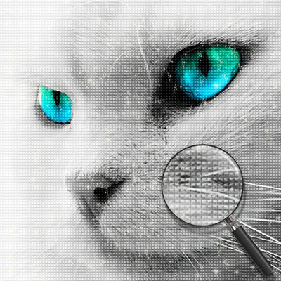 Cat with Blue Eyes Diamond Painting