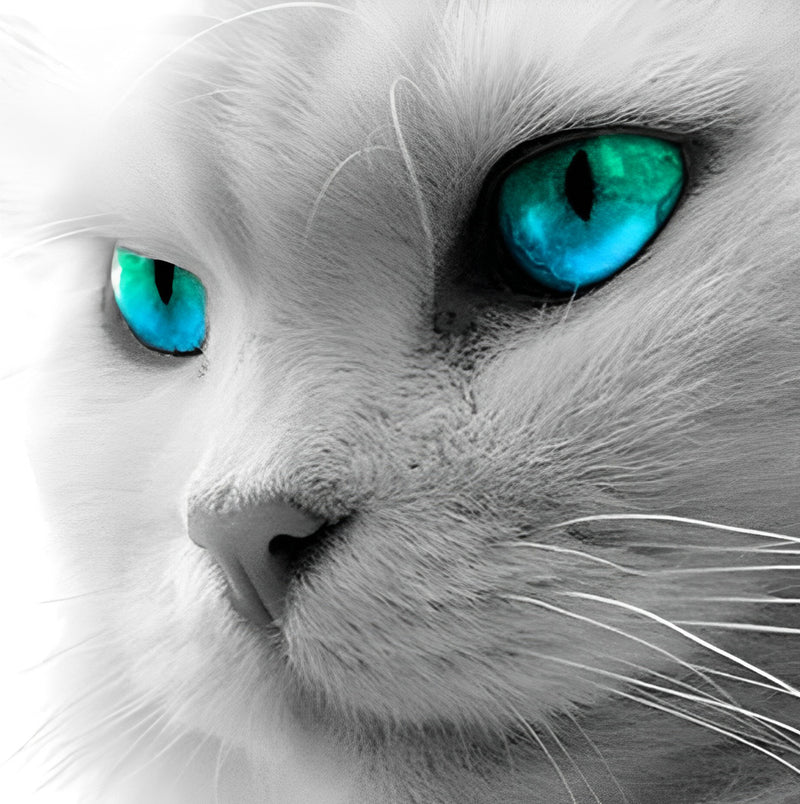 Cat with Blue Eyes Diamond Painting