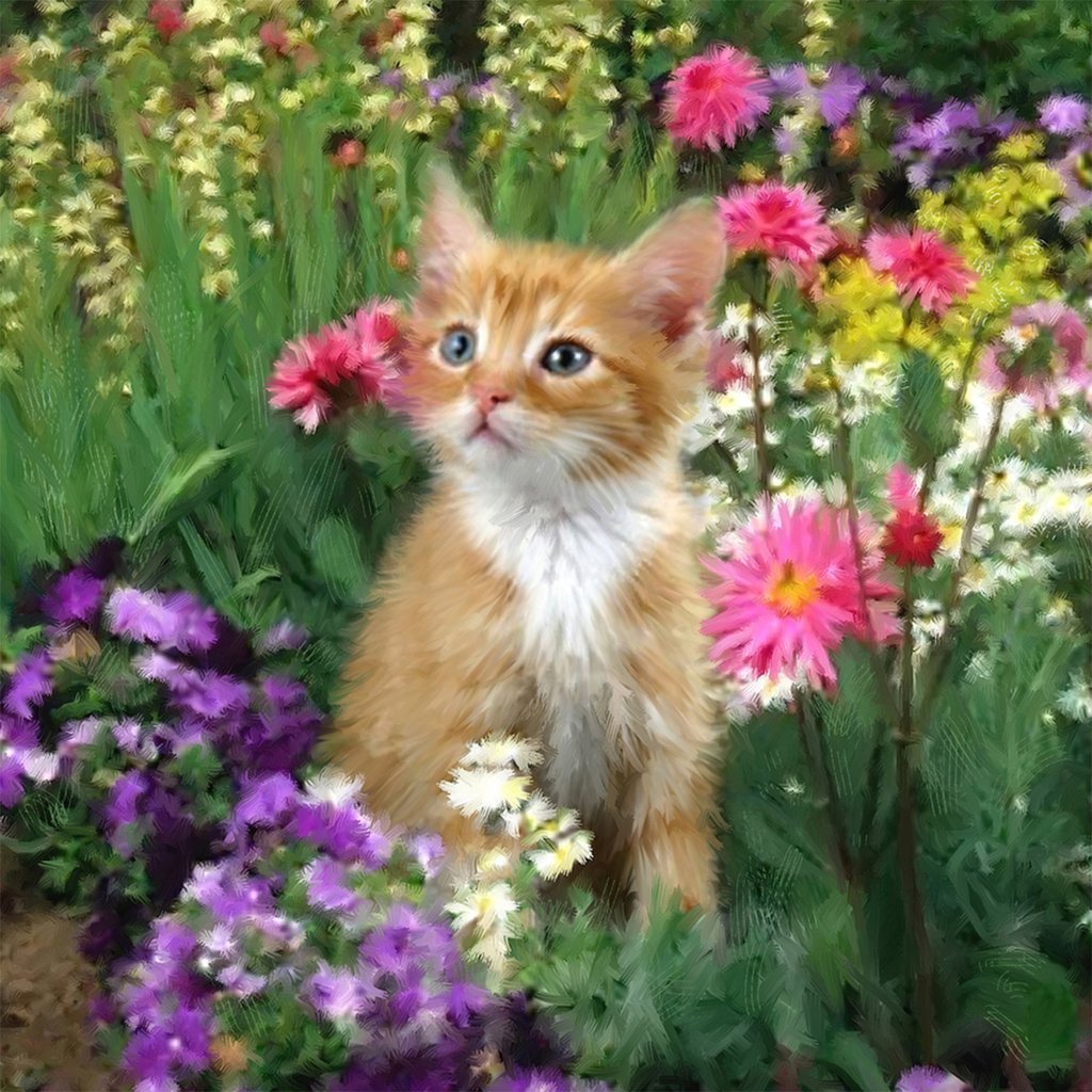 Orange Kitty and Flowers Diamond Painting
