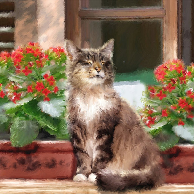 Cat Enjoying the Sun 5D DIY Diamond Painting Kits