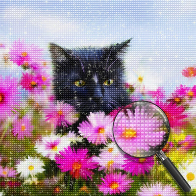 Little Black Cat and Marguerites Diamond Painting