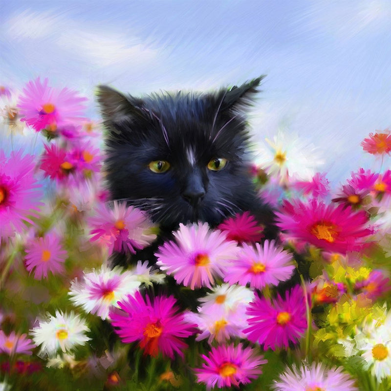 Little Black Cat and Marguerites Diamond Painting