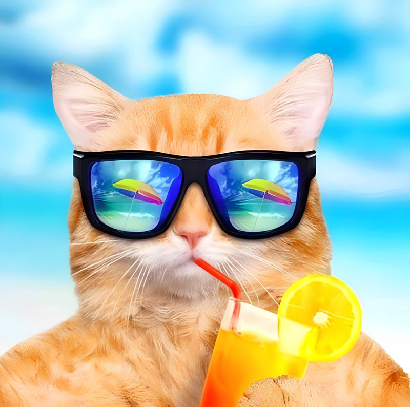 Orange Cat on Vacation 5D DIY Diamond Painting Kits