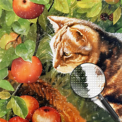 Cat and Apples 5D DIY Diamond Painting Kits