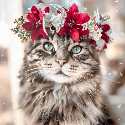 Maine Coon Cat Wearing a Garlands 5D DIY Diamond Painting Kits