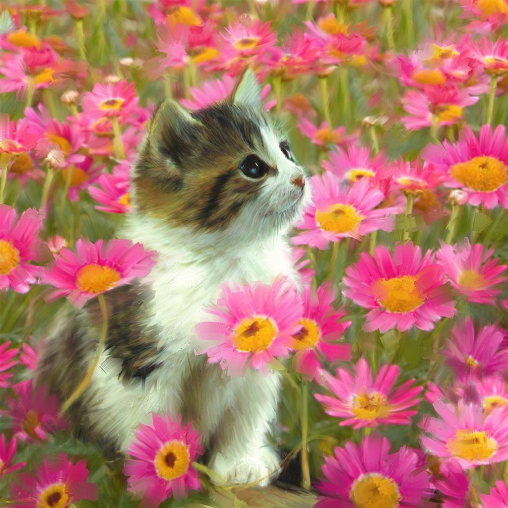 Kitten and Pink Daisies Diamond Painting